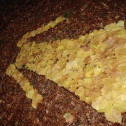 Natura e Arte si incontrano: sagoma di vestito da donna in foglie